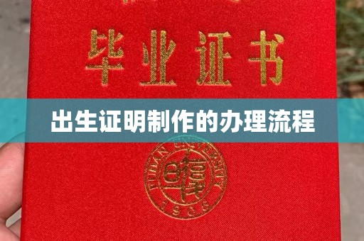 乐安出生证明制作的办理流程